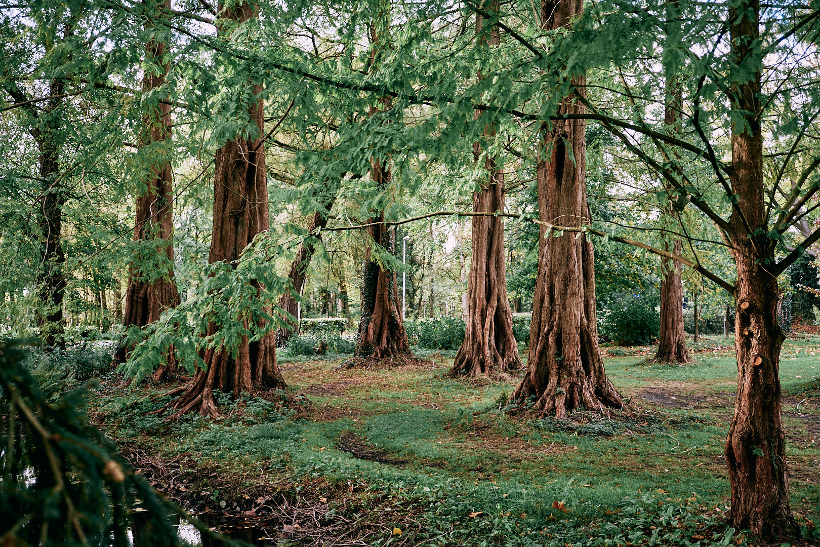 Schlosspark Oldenburg